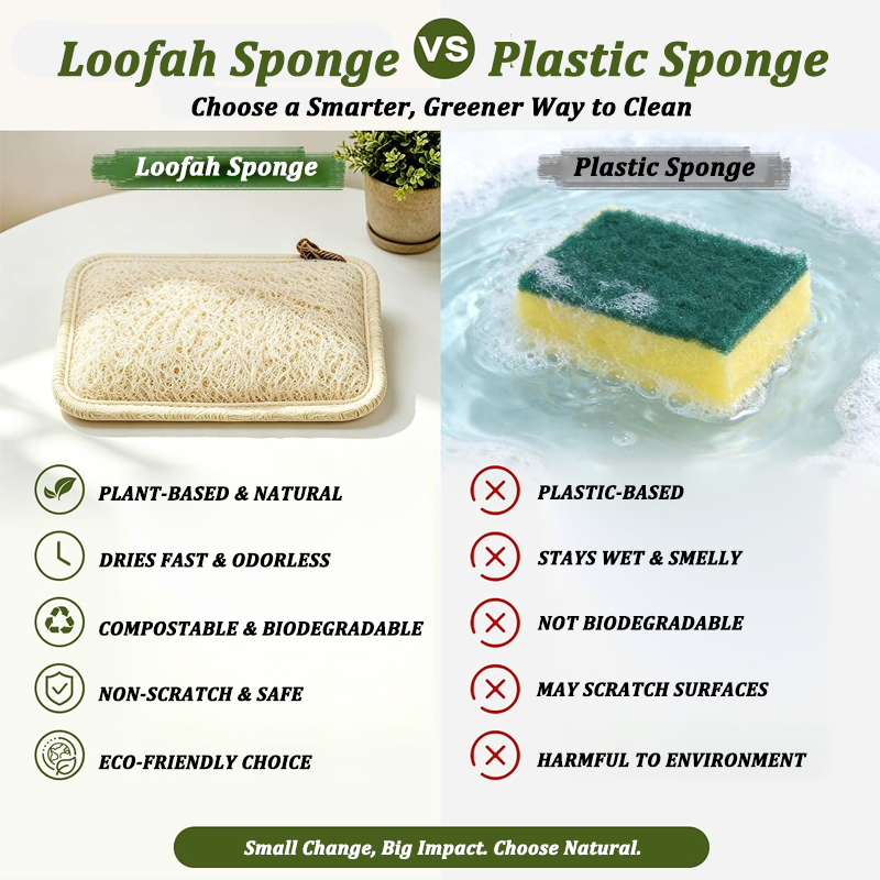 ฟองน้ำใยบวบธรรมชาติสำหรับขัดล้ - Body Loofah Natural บทวิจารณ์และราคา